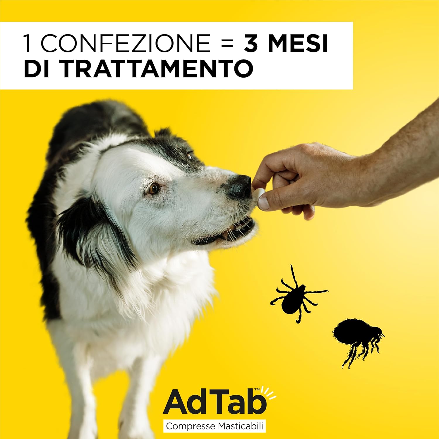 AdTab Kautabletten für Hunde - 3 Tabletten - Foto 4