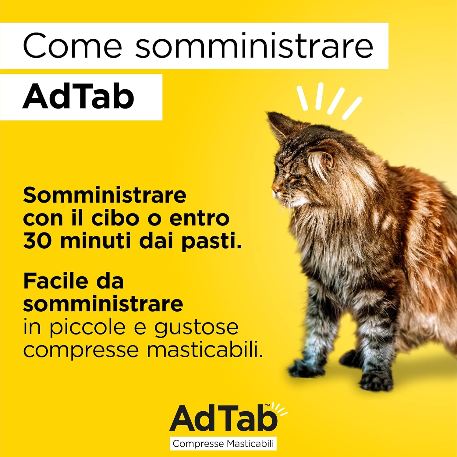 AdTab Kautabletten für Katzen - 3 Tabletten - Foto 3