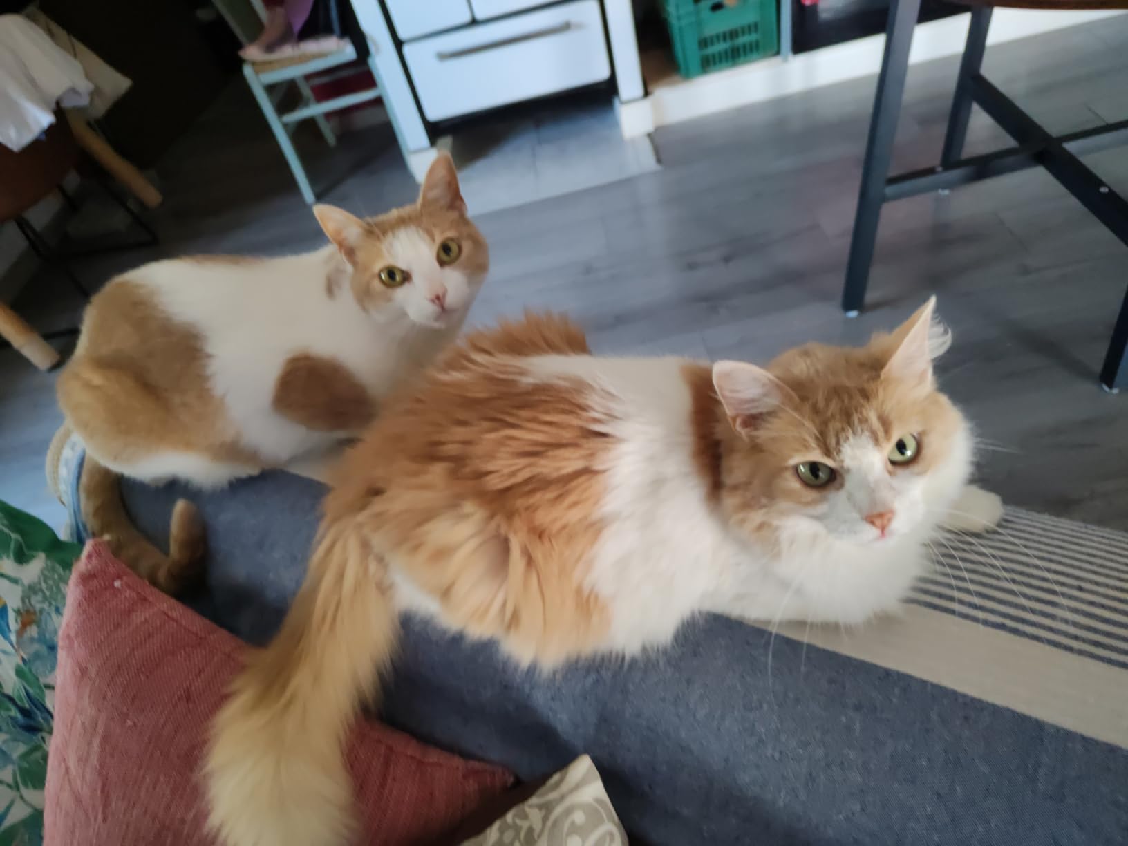 AdTab klantbeoordeling 9